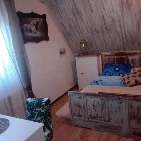 Schronisko Srebrny Potok Lubawka